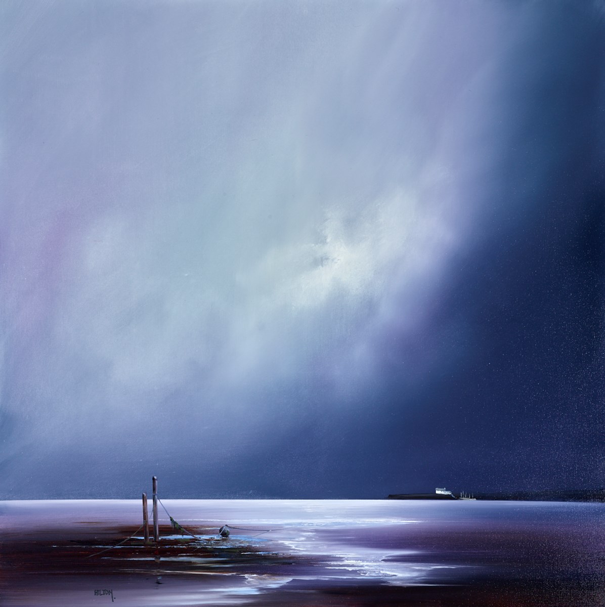Tidal Inlet